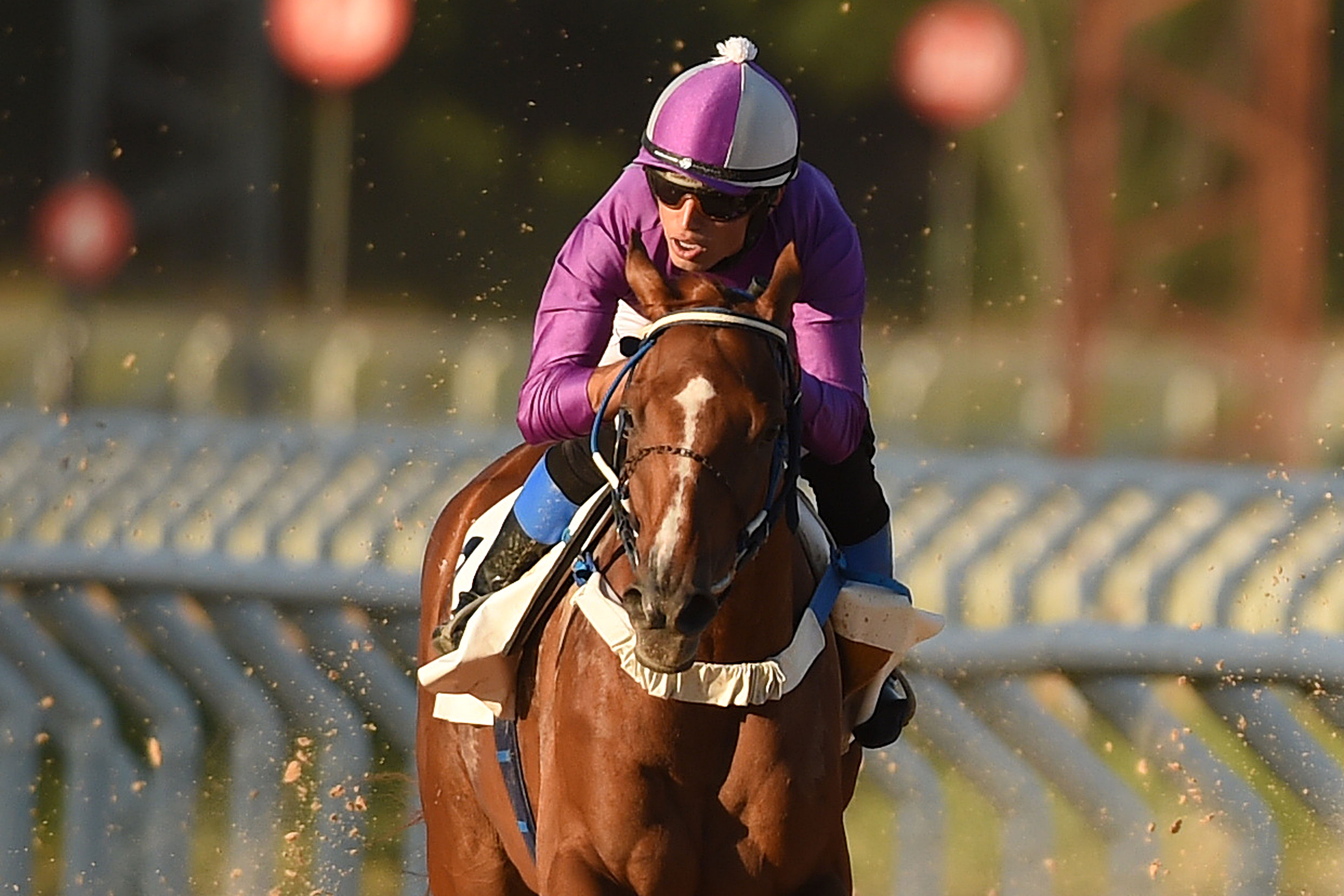 This image for Image Layouts addon