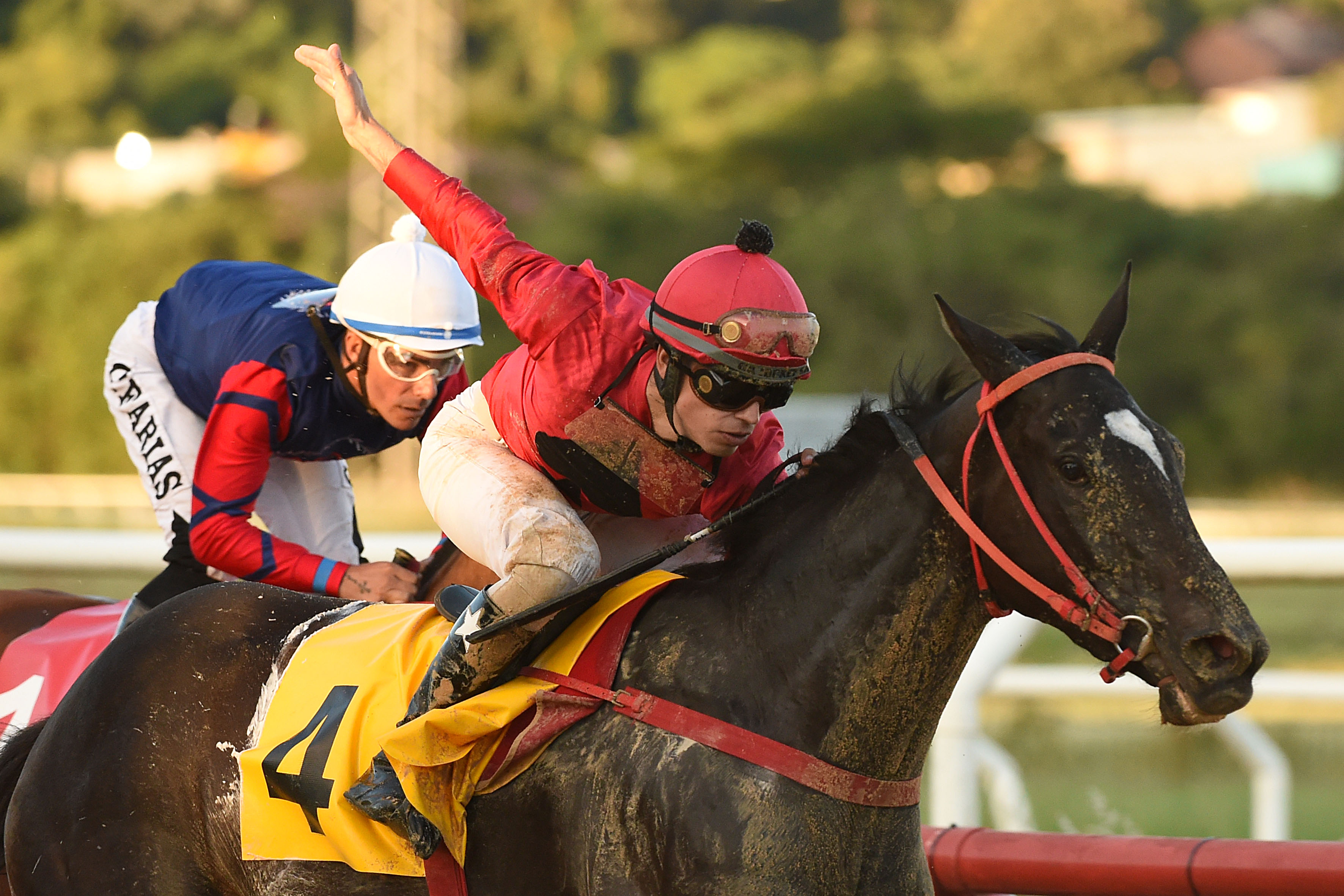 This image for Image Layouts addon