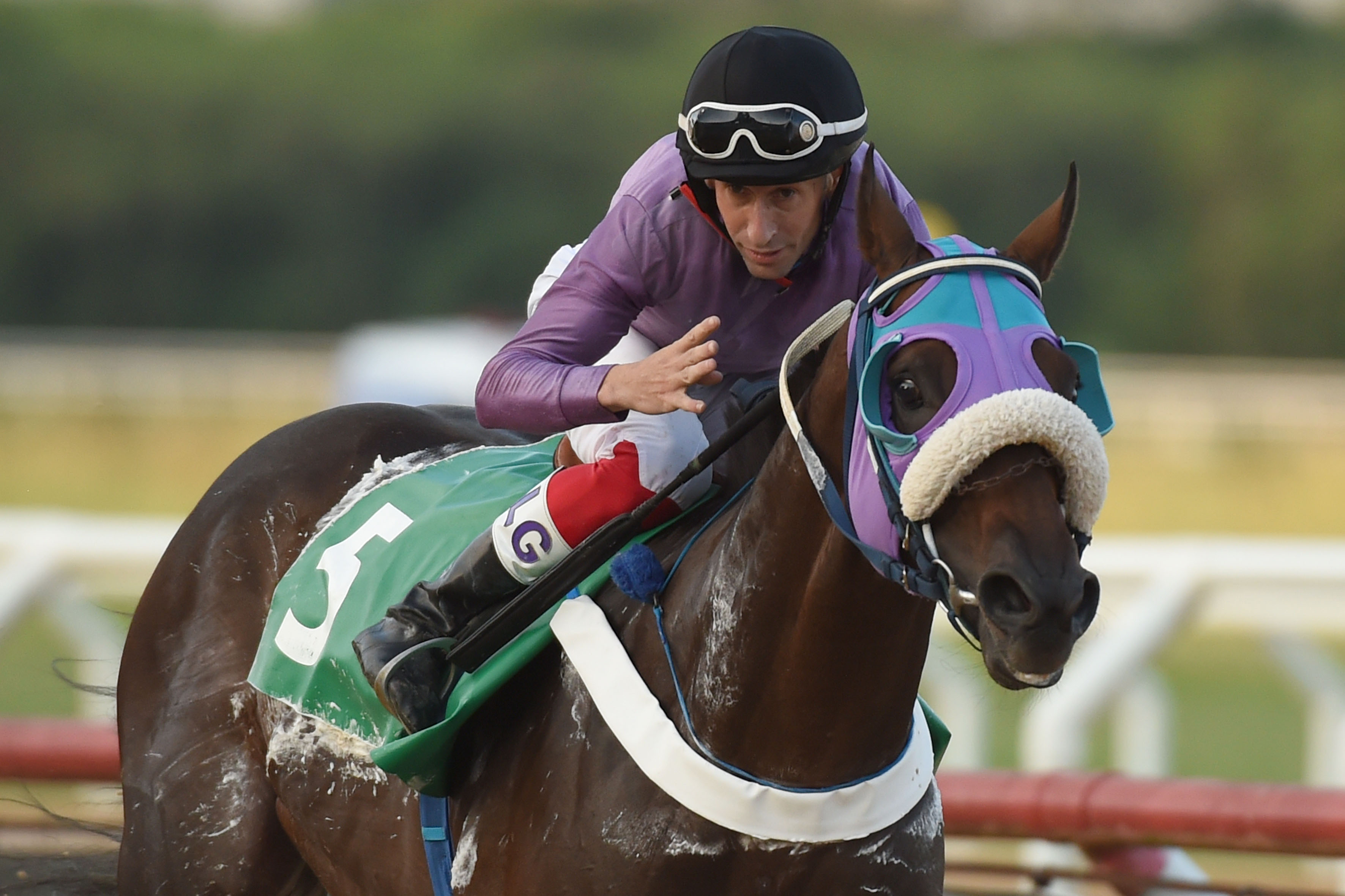 This image for Image Layouts addon