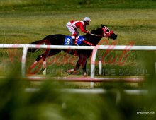 09.07 Corridas » 09.07 Corridas » 020824