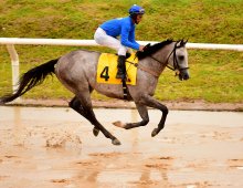 09.07 Corridas » 09.07 Corridas » 160125