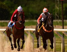 09.07 Corridas » 09.07 Corridas » 171024