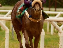 09.07 Corridas » 09.07 Corridas » 221124