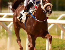 Corrida 23/01/25