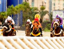 09.07 Corridas » 09.07 Corridas » 241024