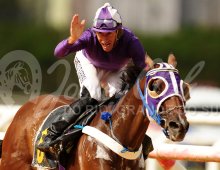 09.07 Corridas » 09.07 Corridas » 270124